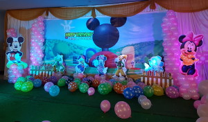 Mickey mouse theme birthday party organisers