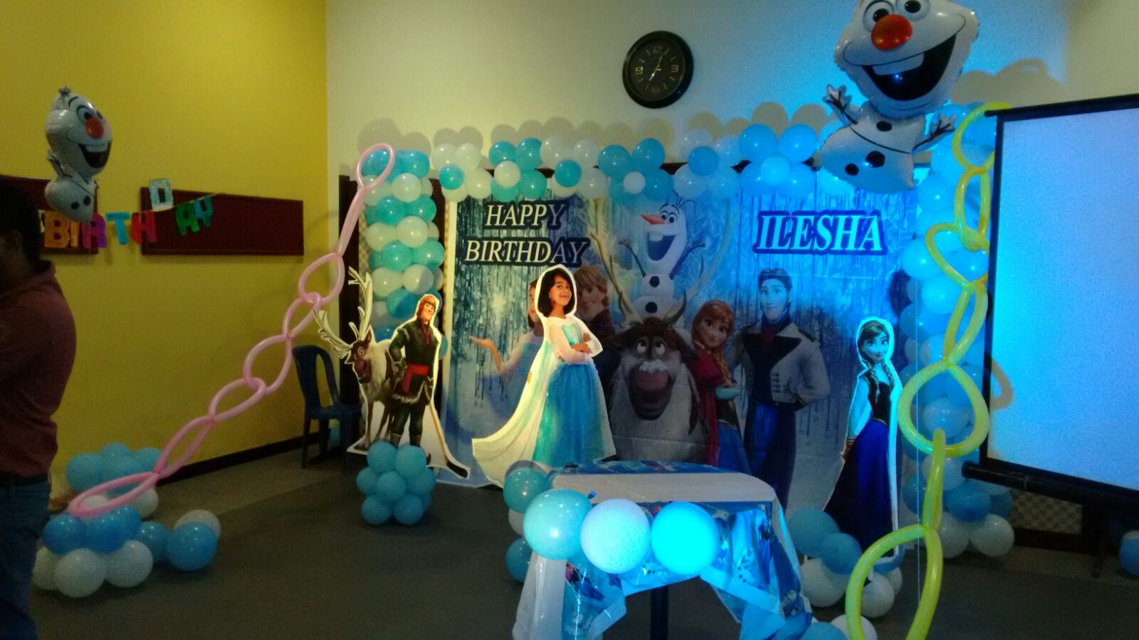 Frozen theme banner birthday party balloon decorators Bangalore