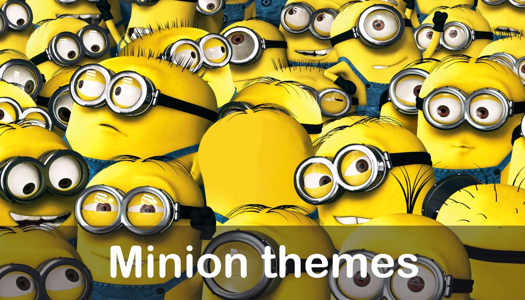 Minion theme birthday party decorations bangalore