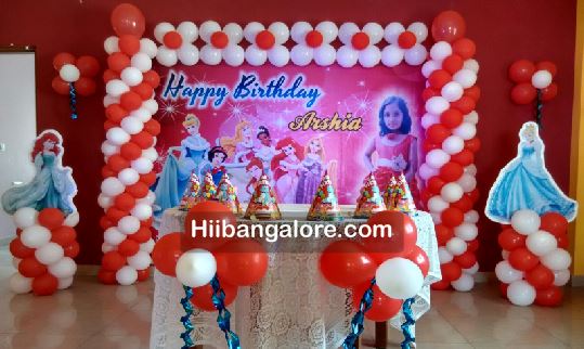 basic princess theme birthday decorations