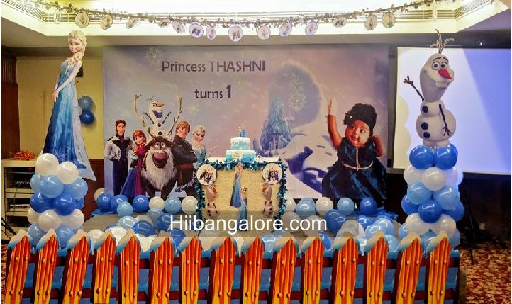 1st birthday party frozen themes