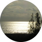 Pure veg catering services in bangalore