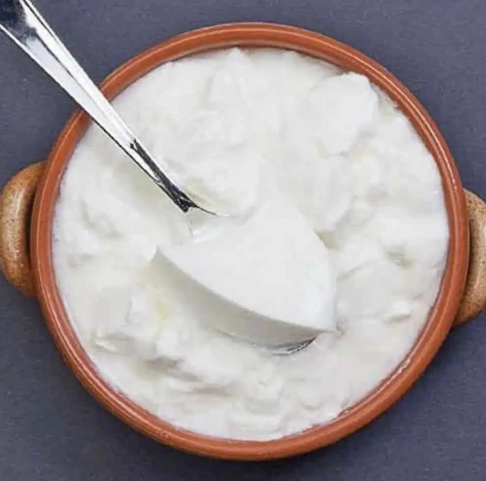Fresh curd served in traditional Andhra vegetarian catering in Bangalore