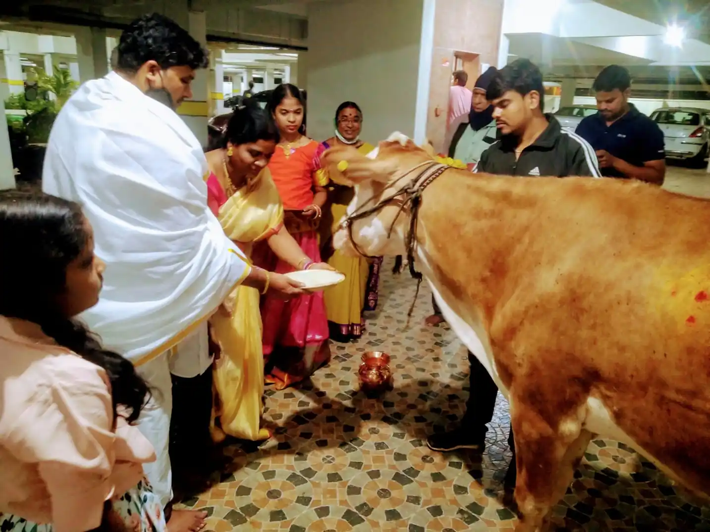 Gomatha pooja services for gruhapravesham ceremony in Bangalore
