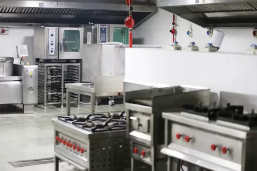 Hiibangalore professional Andhra style catering kitchen in Bangalore