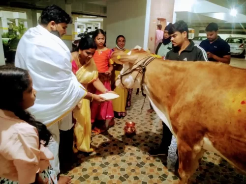 Gomatha pooja services for gruhapravesham ceremony in Bangalore