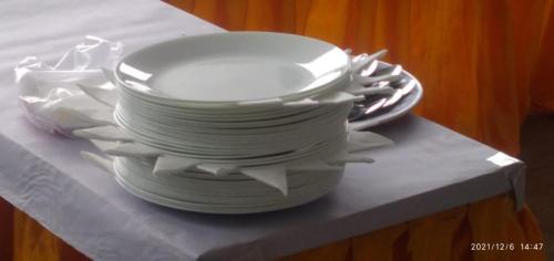 Andhra-style-caterers-melamine-plates-setup-for-birthday-party-catering-in-Bangalore (1)